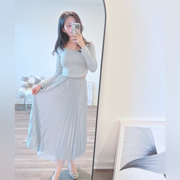 Zara Dresses & Skirts - Reversible Velvet & Tulle Pleated Midi Skirt ✨